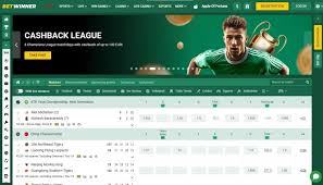 Bonuses and Promo Codes Betwinner 0