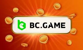 BC Game Payment Options 0