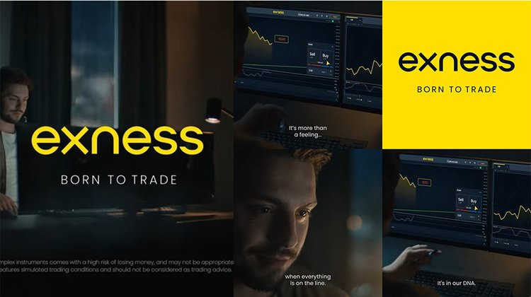 Comprehensive Guide to Exness Educational Resources