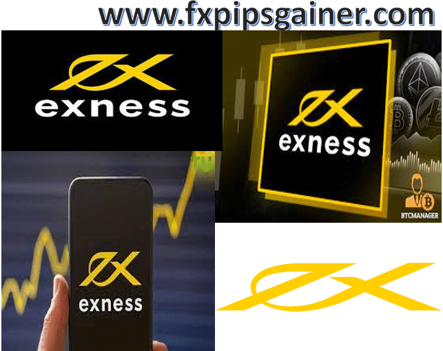 Comprehensive Guide to Exness Educational Resources