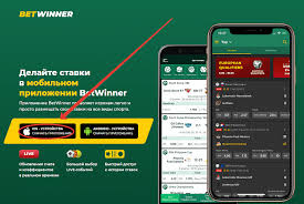 Discover Betwinner Your Ultimate Sports Betting Experience