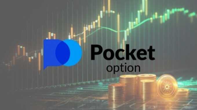 The Ultimate Guide to Pocket Option Platform 6