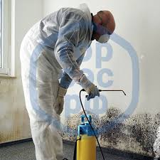 Центр дезинфекции Новосибирск - Безопасность и чистота для вашего дома